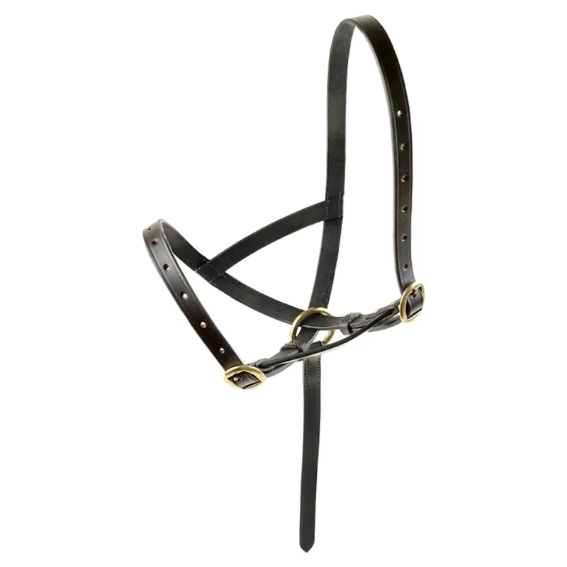 Dever Ascot Leather Foal Slip - Brown-1