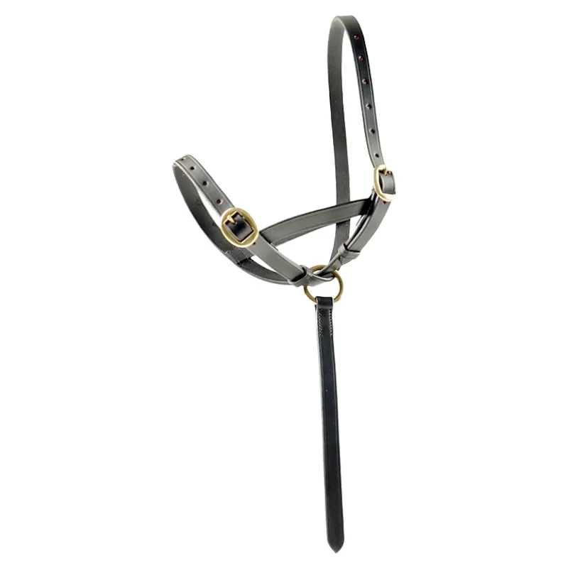 Dever Ascot Leather Foal Slip - Brown-2