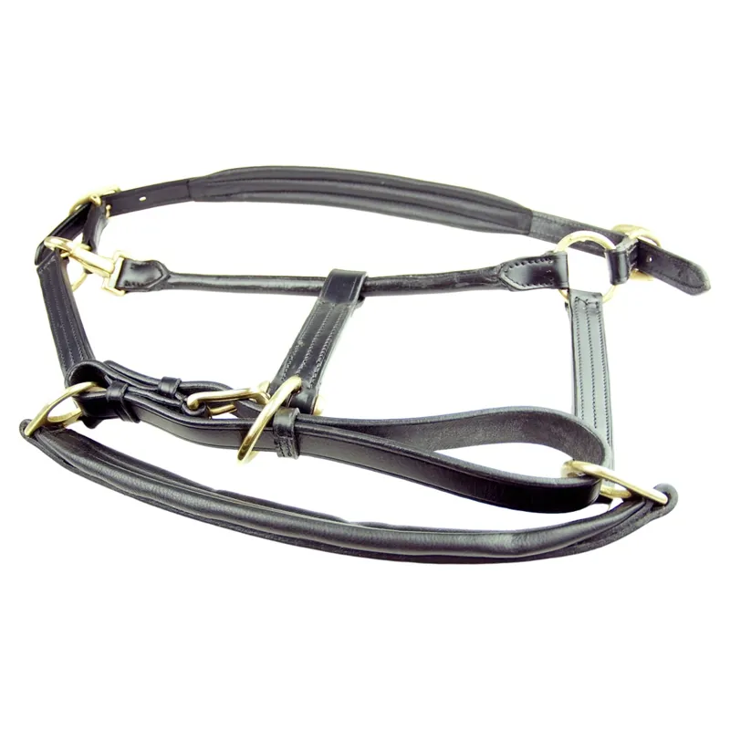 Dever Ascot Padded Leather Headcollar - Black-2