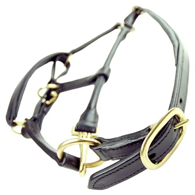 Dever Ascot Padded Leather Headcollar - Black-4