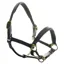 Dever Ascot Padded Leather Headcollar - Black