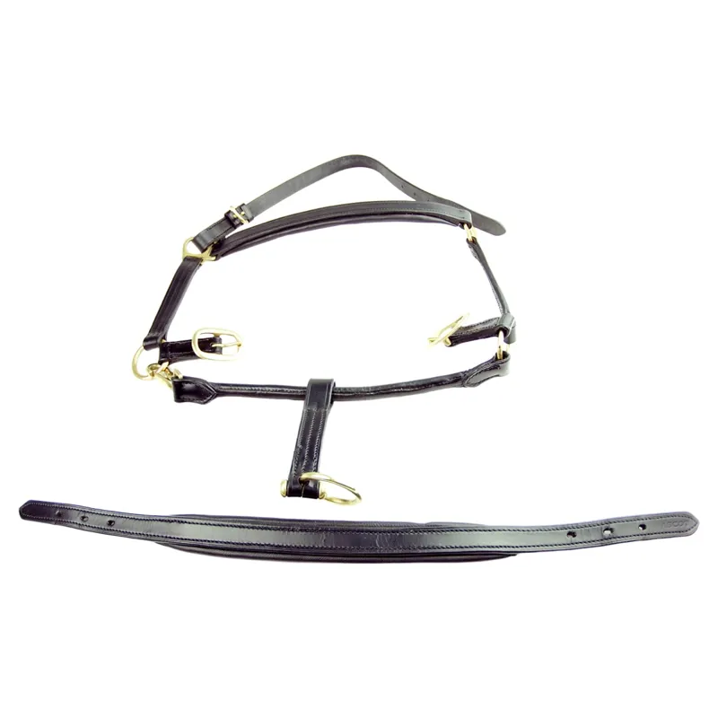 Dever Ascot Padded Leather Headcollar - Black-1