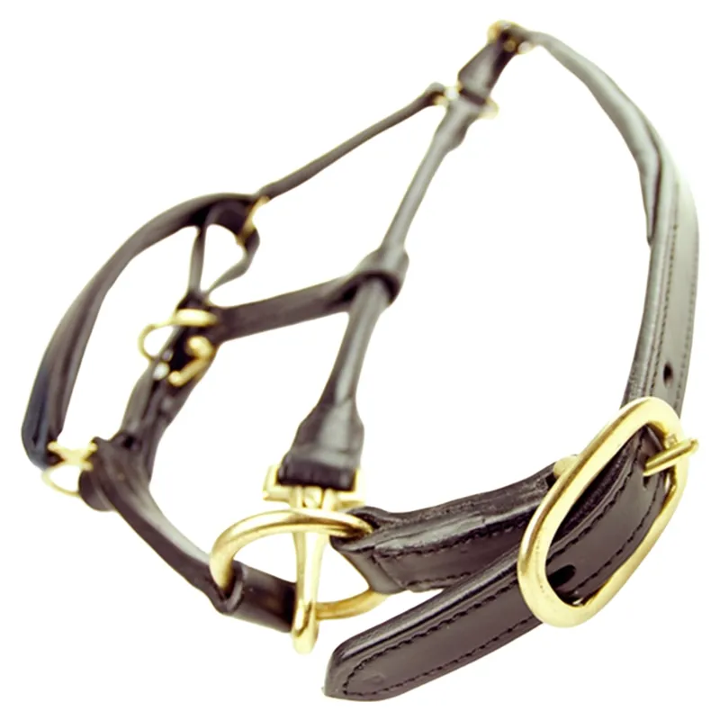 Dever Ascot Padded Leather Headcollar - Brown-4