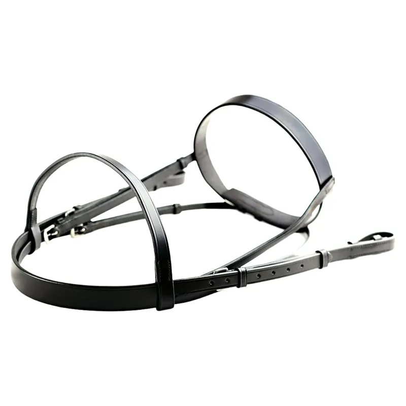 Dever Ascot Plain Bridle - Black-2