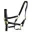 Dever Ascot Synthetic Headcollar - Black