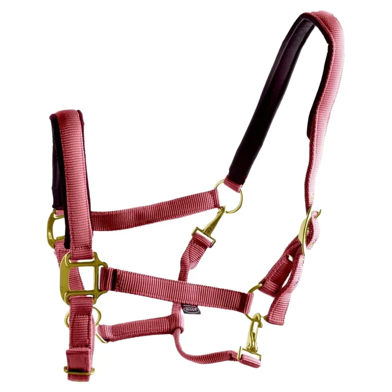 Dever Ascot Synthetic Headcollar - Burgundy