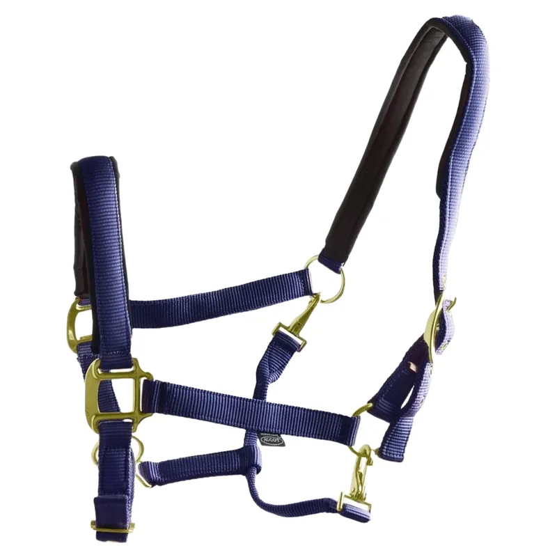 Dever Ascot Synthetic Headcollar - Navy