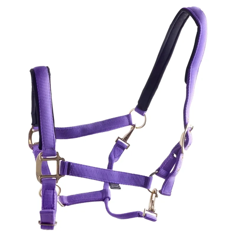 Dever Ascot Synthetic Headcollar - Purple