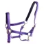 Dever Ascot Synthetic Headcollar - Purple