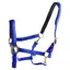 Dever Ascot Synthetic Headcollar - Royal