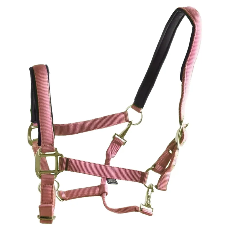 Dever Ascot Synthetic Headcollar - Salmon