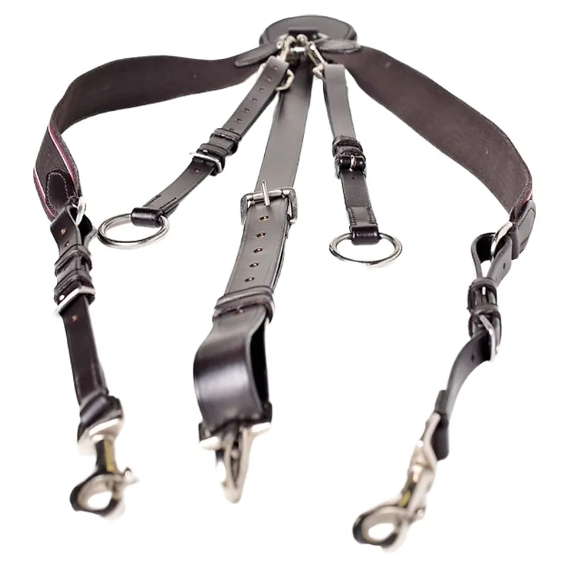 Dever Ascot V Check Breastplate - Brown-1