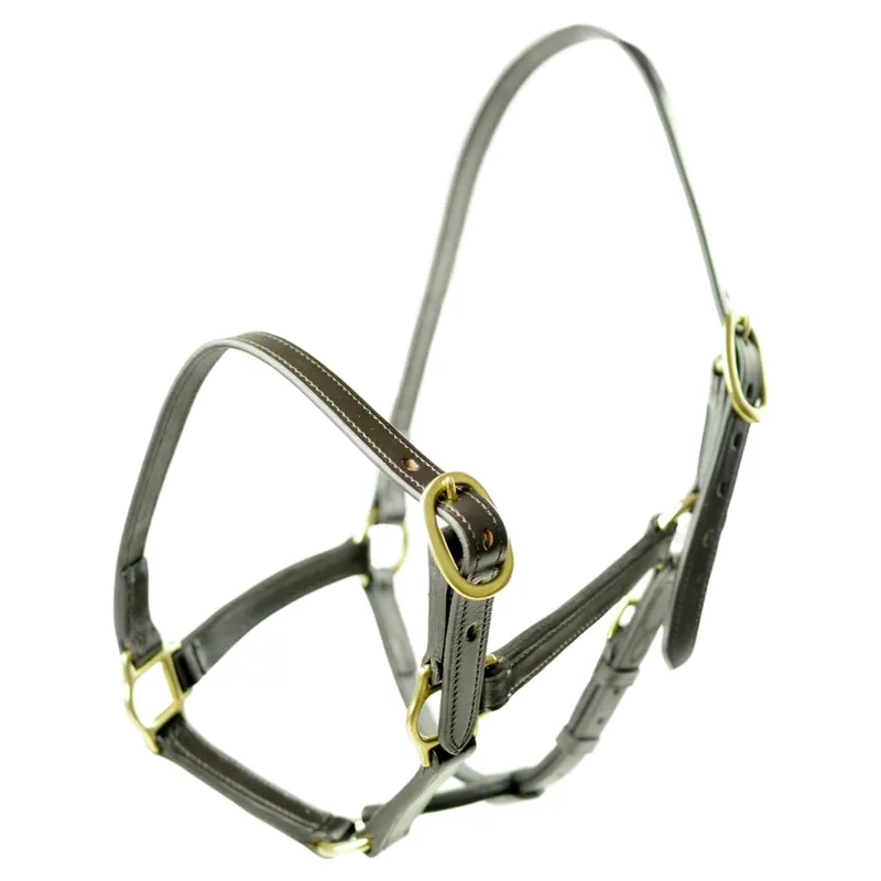 Dever Ascot Weaning to Yearling Leather Headcollar - Brown