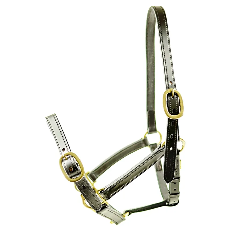Dever Ascot Weaning to Yearling Leather Headcollar - Brown-1