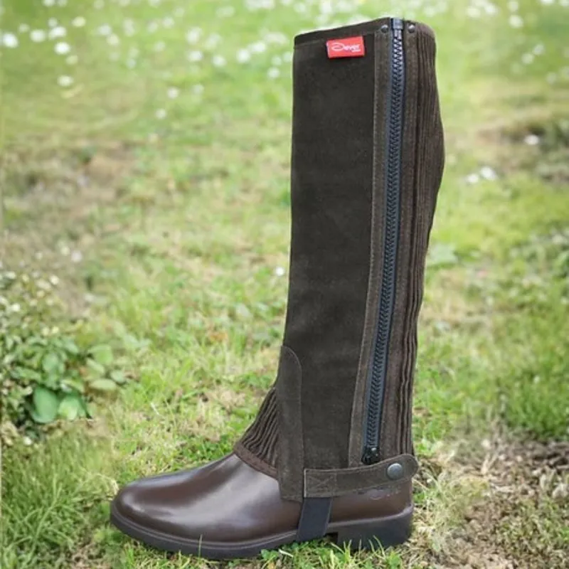Dever Suede Leather Junior Unisex Half Chaps - Brown-1