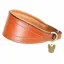 Digby and Fox Padded Greyhound Collar - Tan