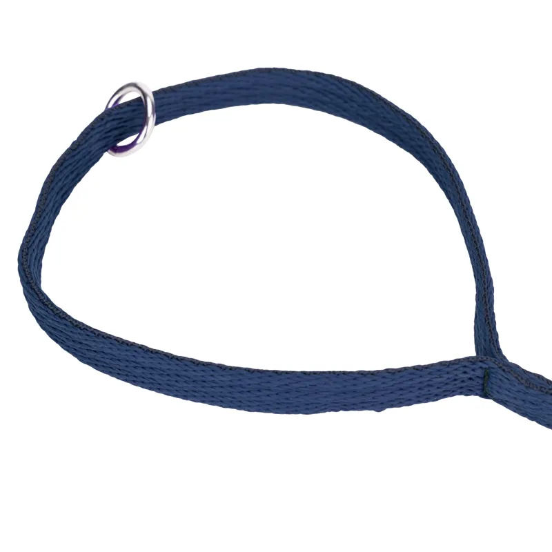 Digby and Fox Cushion Web Lead - Navy-5