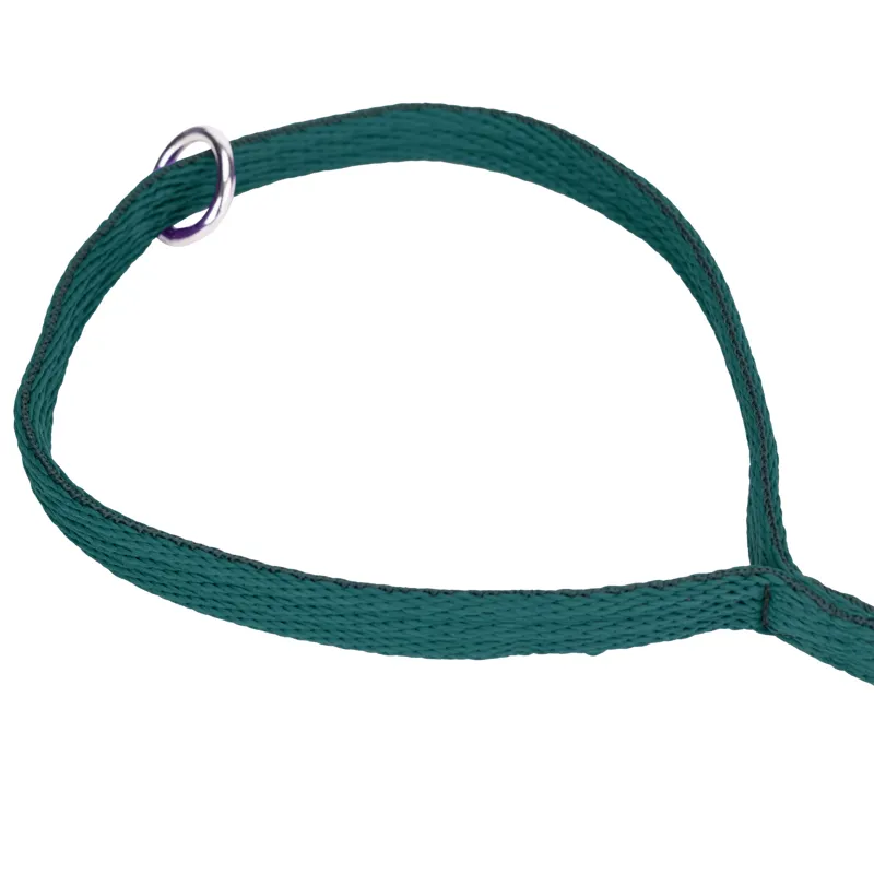 Digby and Fox Cushion Web Lead - Green-5
