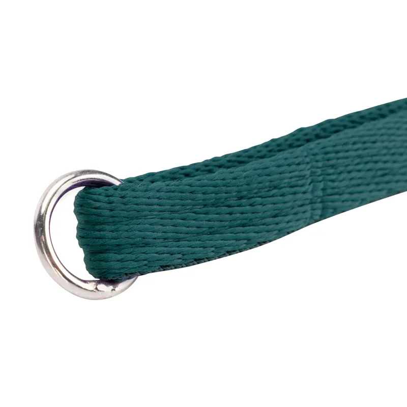 Digby and Fox Cushion Web Lead - Green-6