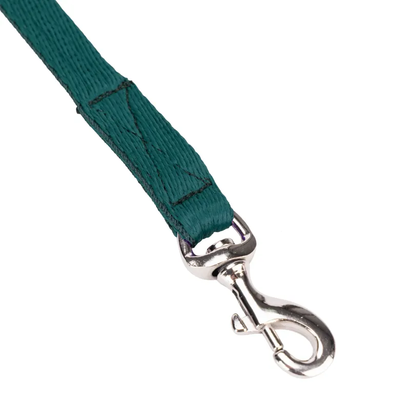 Digby and Fox Cushion Web Lead - Green-7