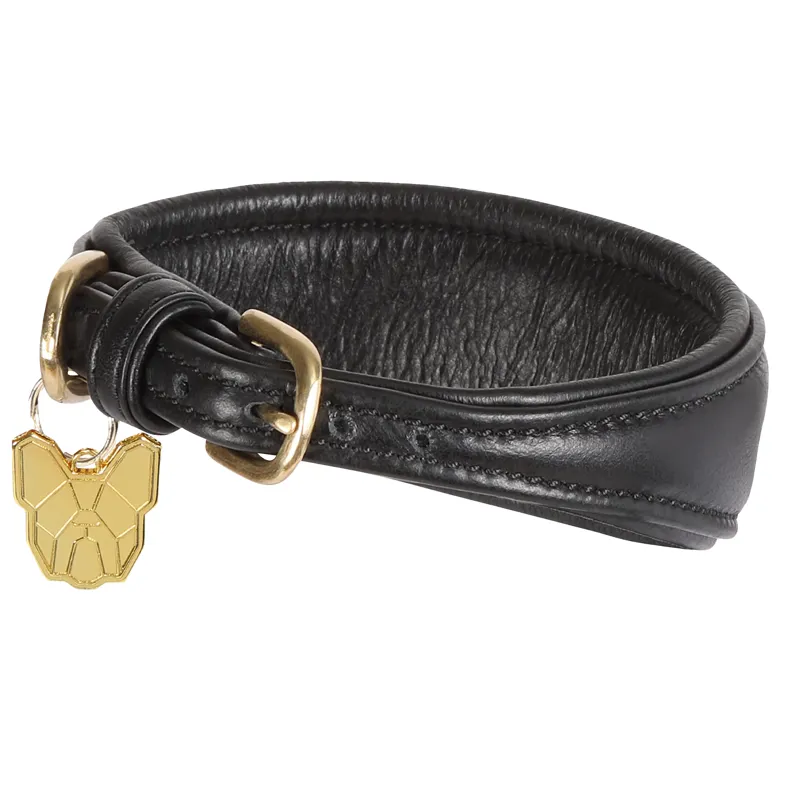 Digby and Fox Padded Greyhound Collar - Black