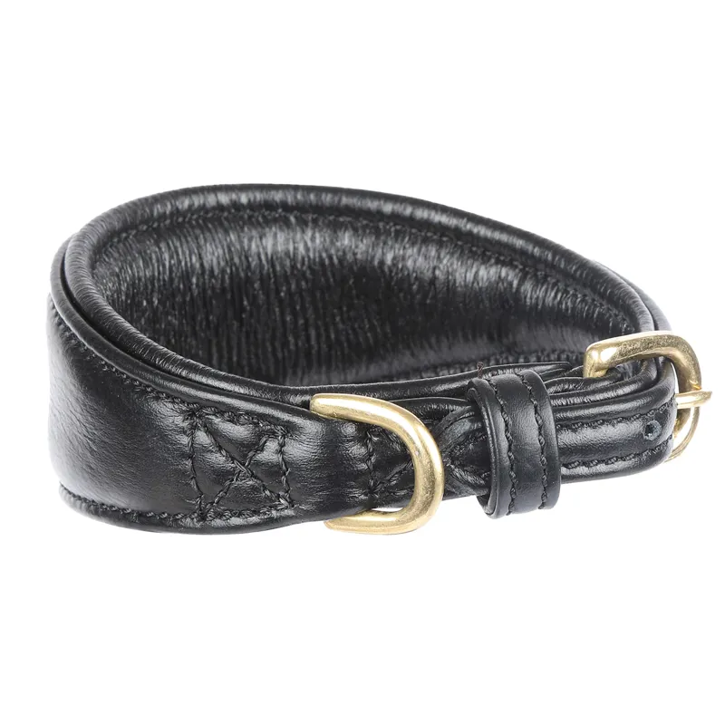 Digby and Fox Padded Greyhound Collar - Black-1
