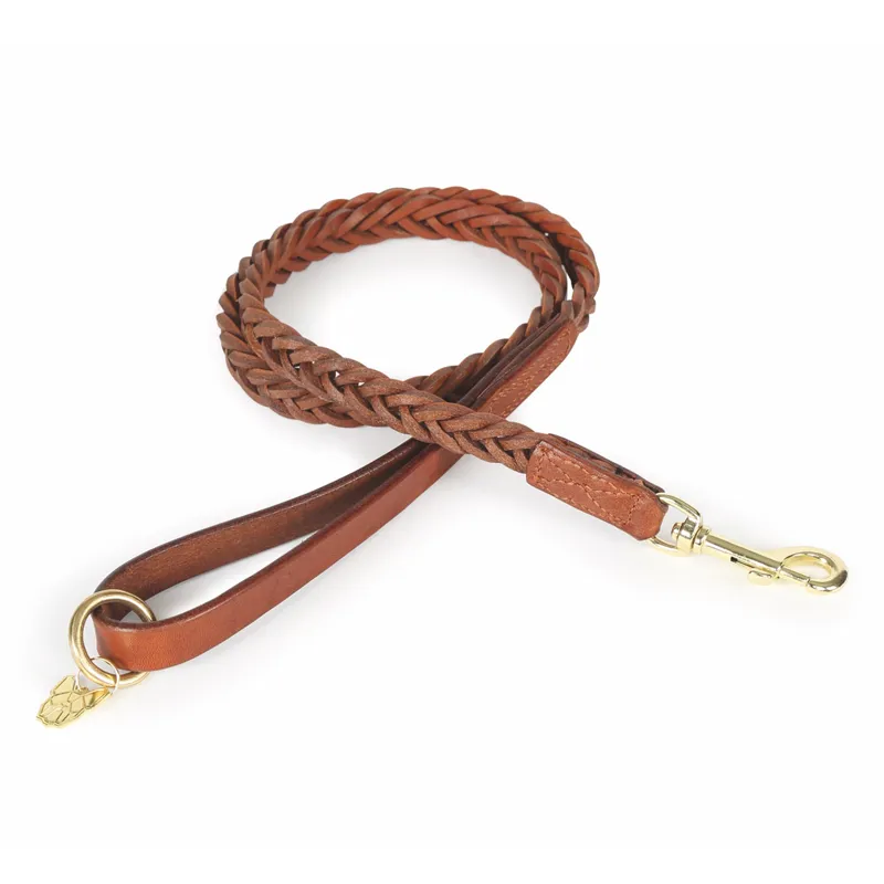 Digby and Fox Plaited Dog Lead - Tan