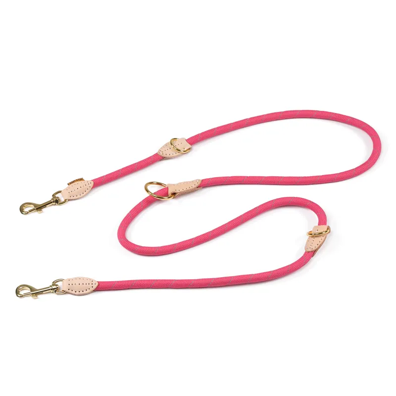 Digby and Fox Reflective Training Lead - Pink