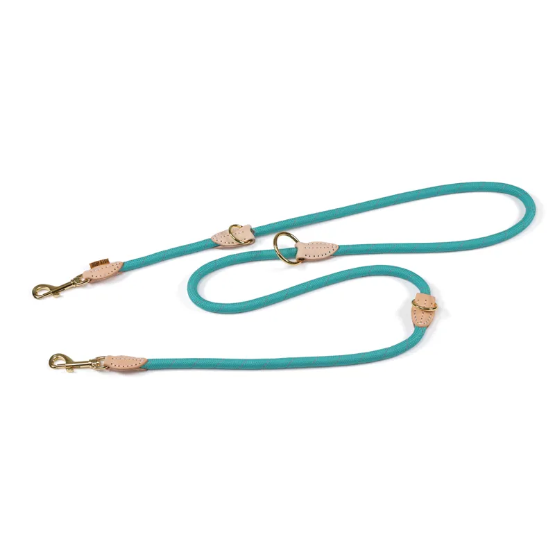Digby and Fox Reflective Training Lead - Teal