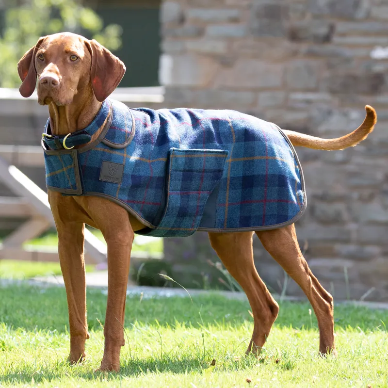 Digby and Fox Tweed Dog Coat - Navy