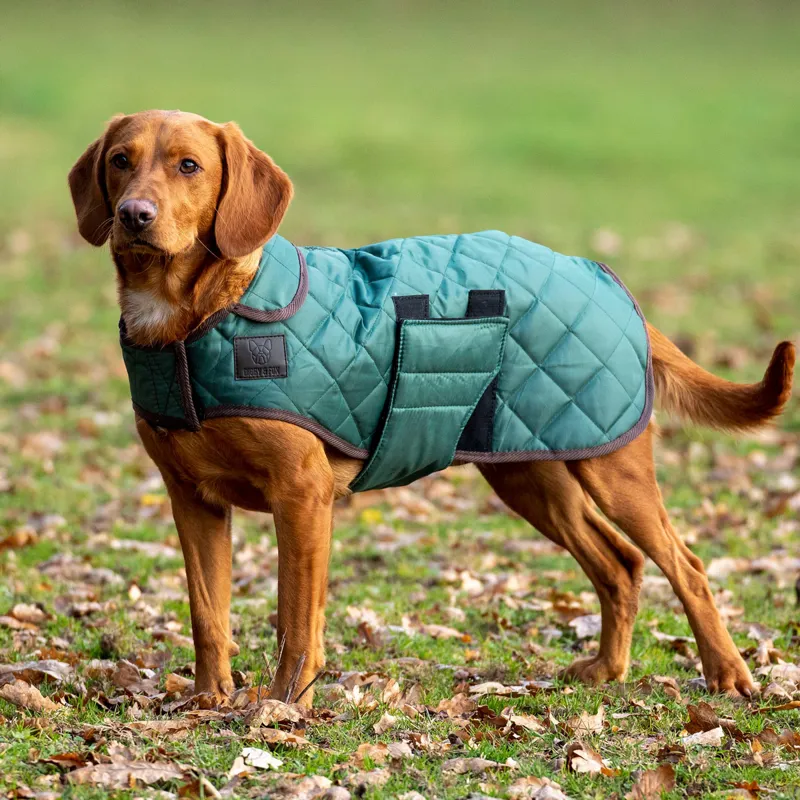 Digby and Fox Heritage Quilted Dog Coat Forest