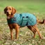 Digby and Fox Heritage Quilted Dog Coat - Forest