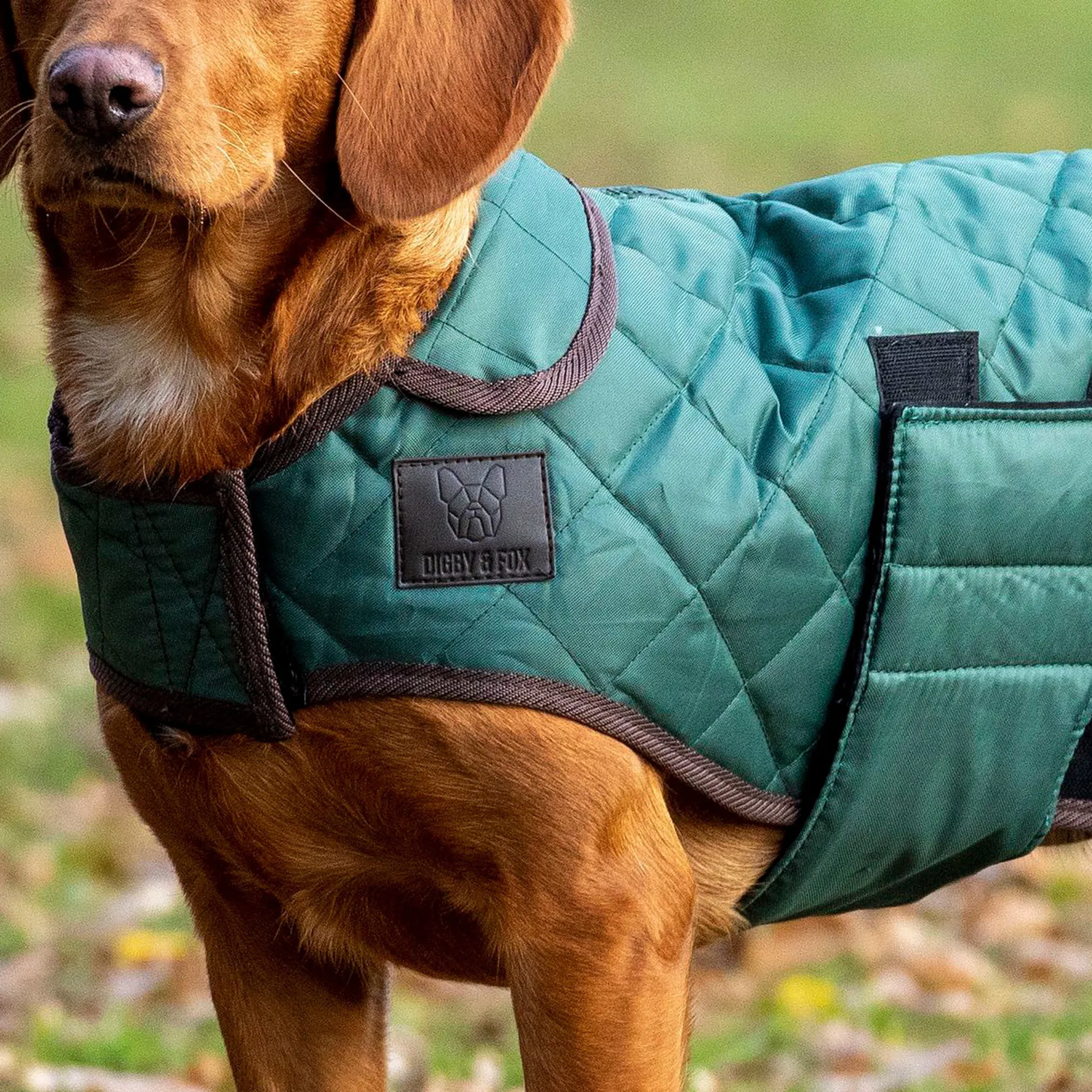 Digby and Fox Heritage Quilted Dog Coat Forest