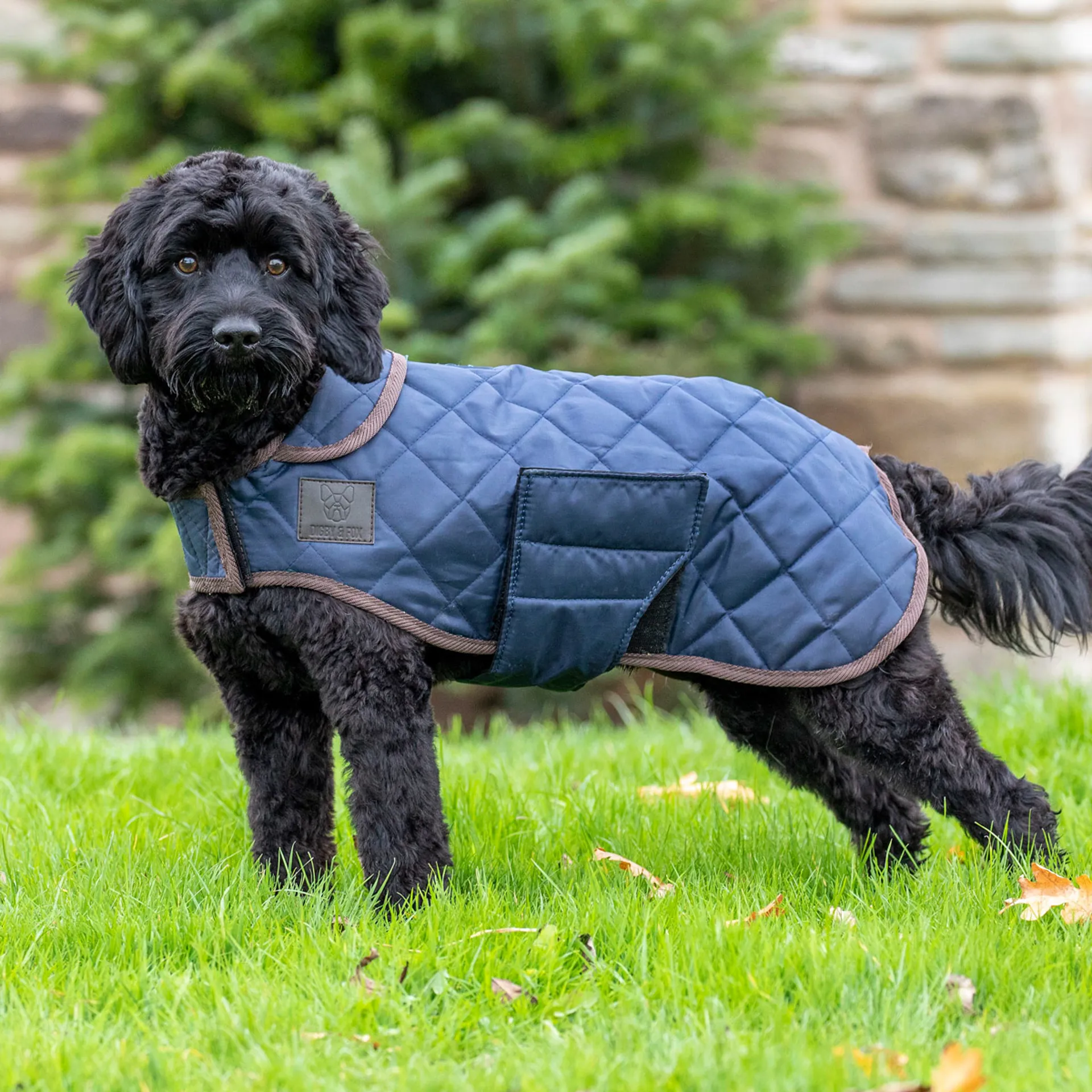Digby and Fox Heritage Quilted Dog Coat Indigo