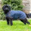 Digby and Fox Heritage Quilted Dog Coat - Indigo