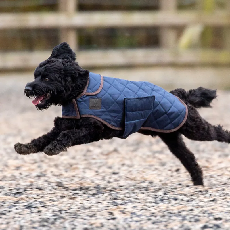 Digby and Fox Heritage Quilted Dog Coat - Indigo-2
