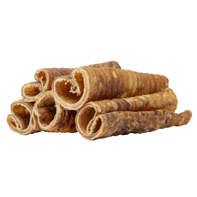 Digby and Fox Trachea for Dogs