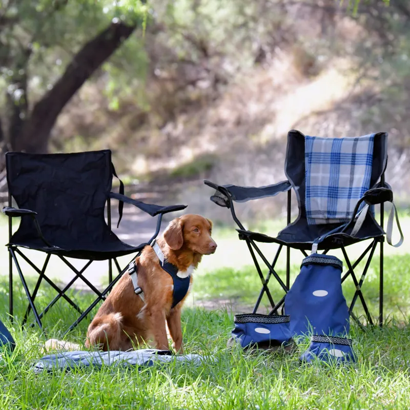 WeatherBeeta Explorer Dog Food Portable Bag - Navy-2