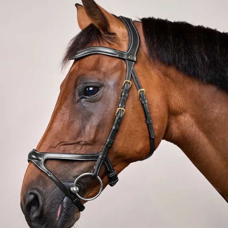 Dy'on D Collection X-Fit Bridle - Black-1