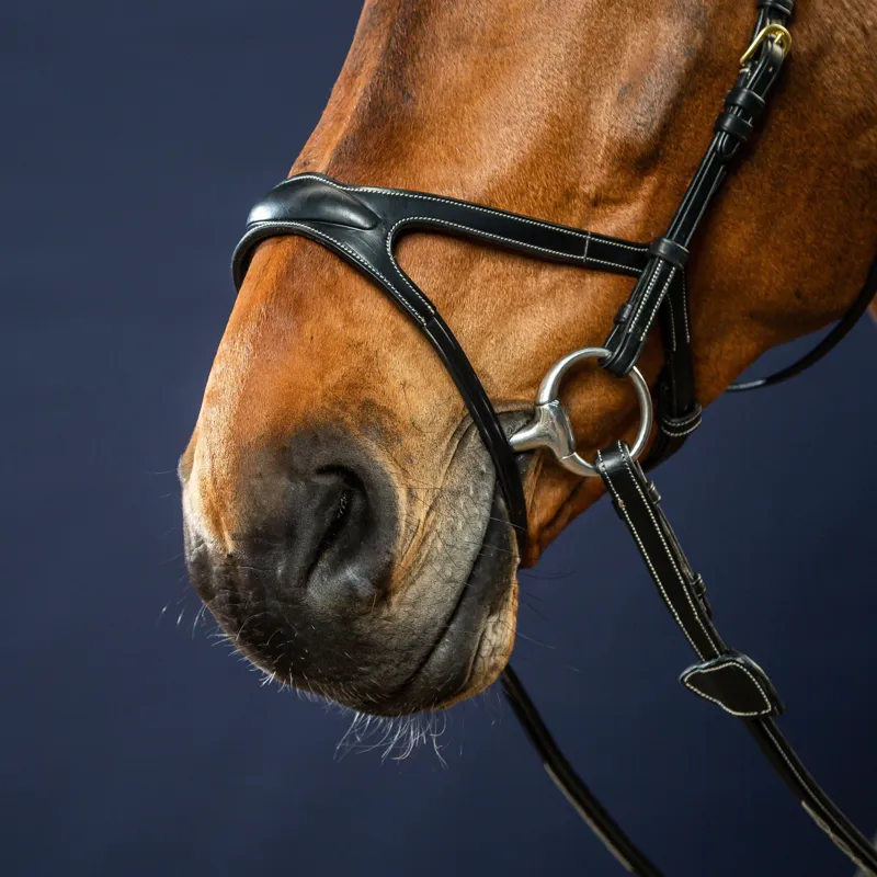 Dy'on D Collection X-Fit Bridle - Black-4