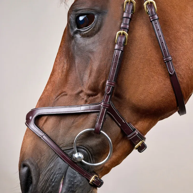 Dy'on D Collection X-Fit Bridle - Brown-5