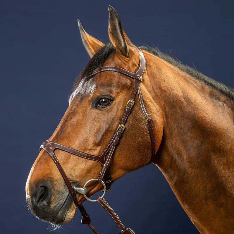 Dy'on D Collection X-Fit Bridle - Brown-1