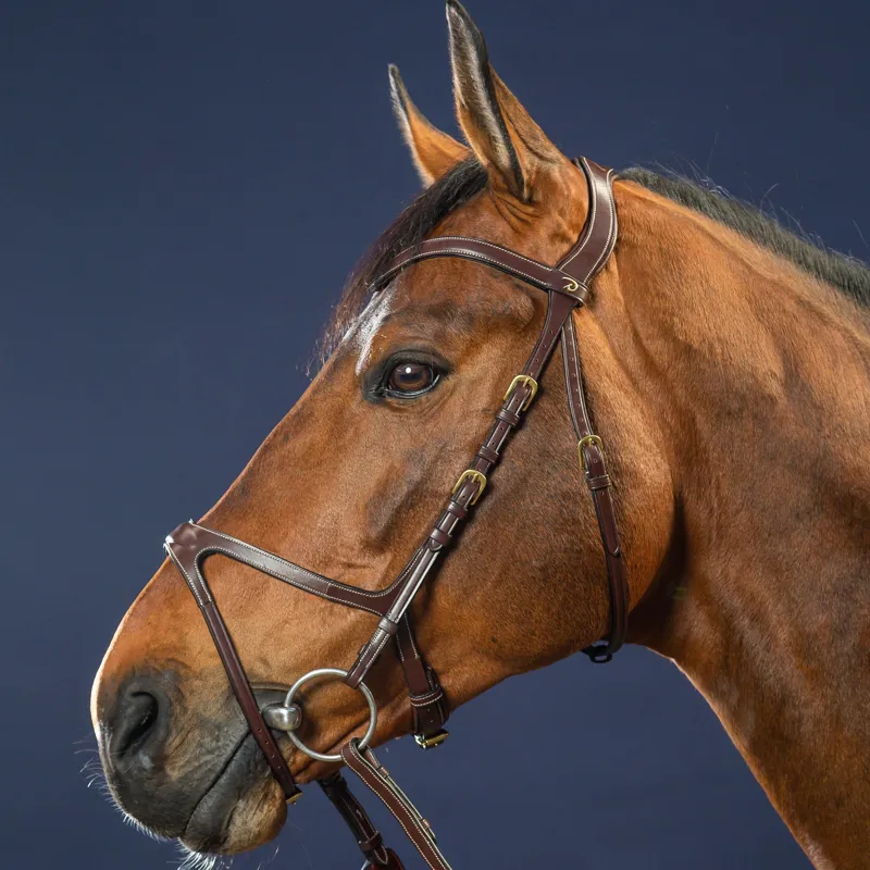 Dy'on D Collection X-Fit Bridle - Brown-2