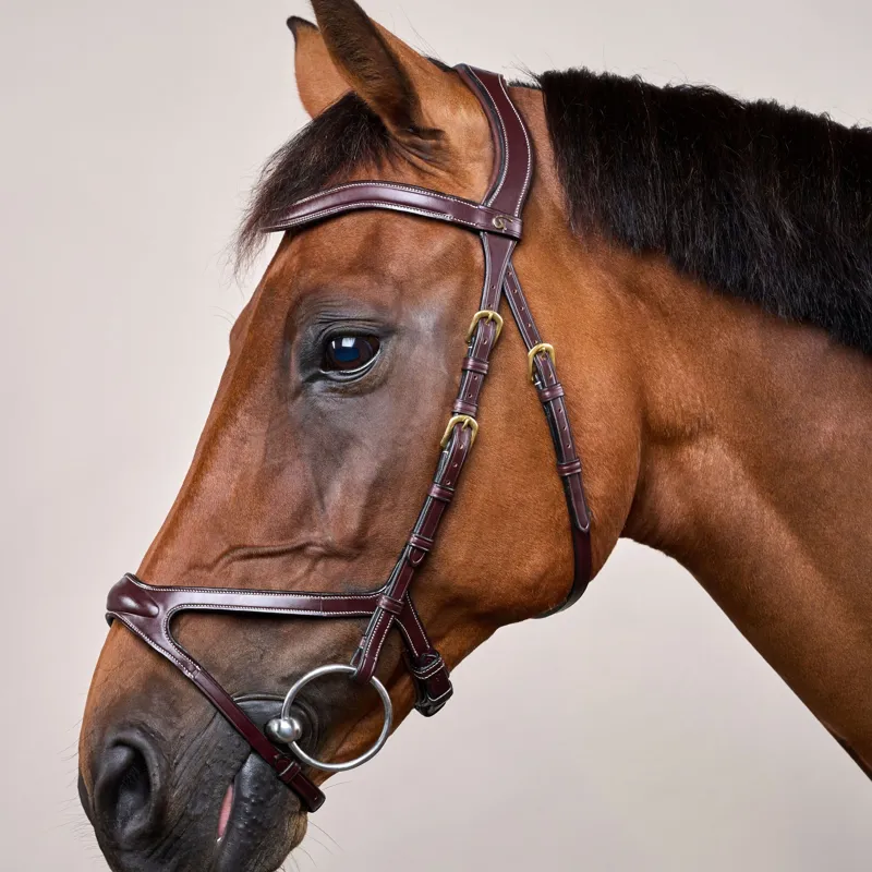 Dy'on D Collection X-Fit Bridle - Brown-4
