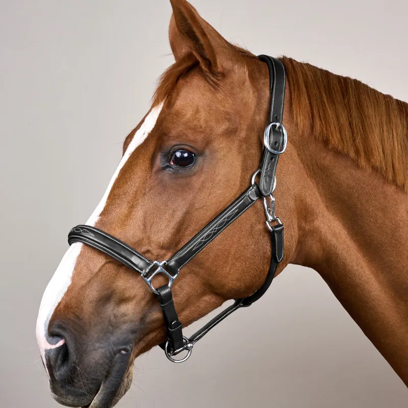 Dy'on Fancy Headcollar - Black-1