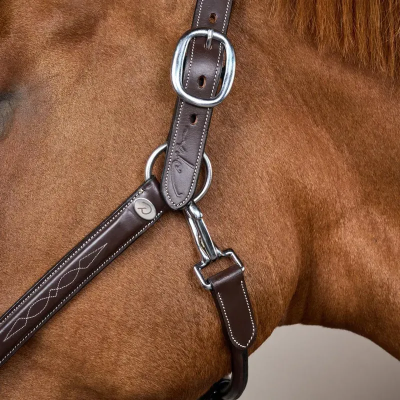 Dy'on Fancy Headcollar - Brown-2
