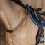 Dy'On New English Elastic Breastplate - Brown