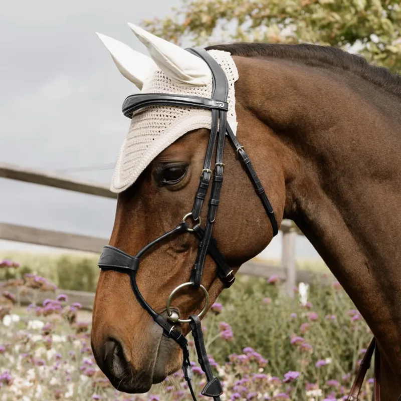 Dy'on Hybrid Anatomical Leather Noseband Bridle - Black