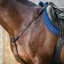 Dy'on New English Breastplate - Black