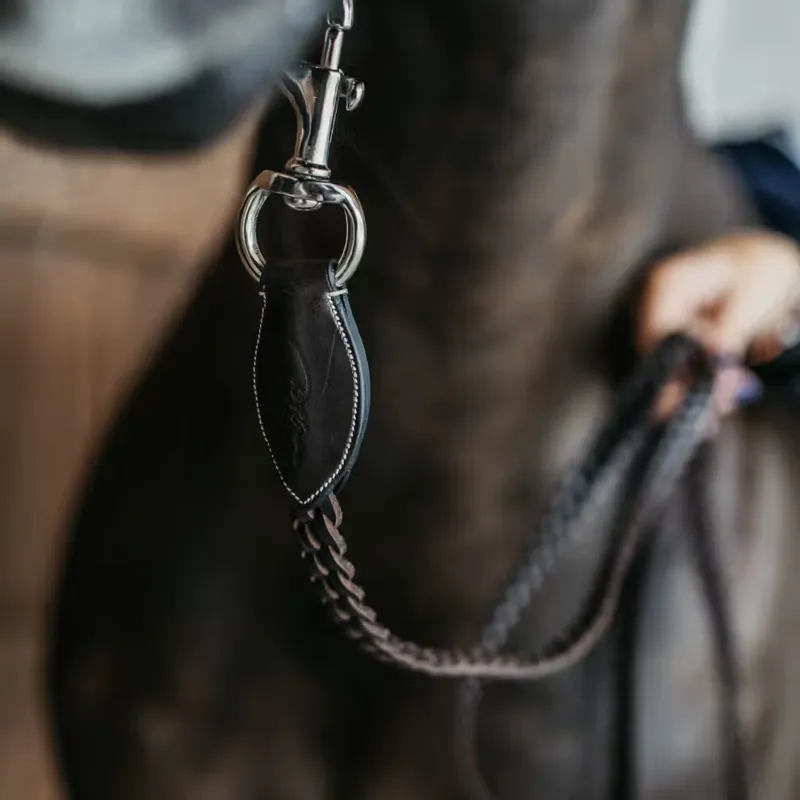 Dy'on Plaited Lead Rope - Brown-1